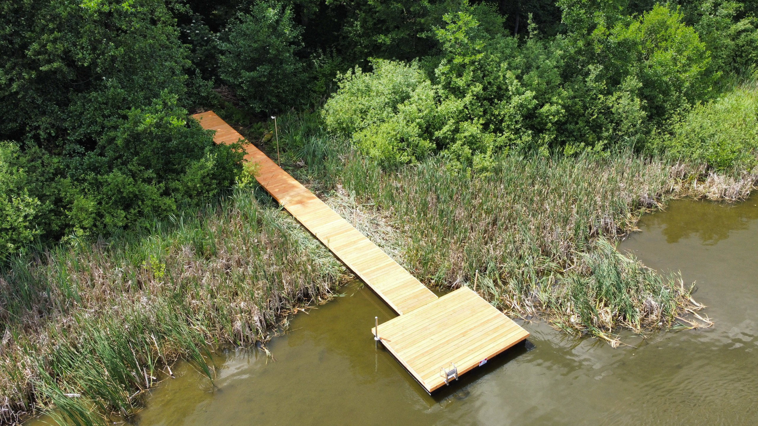 Widok z góry pomostu na stawie
